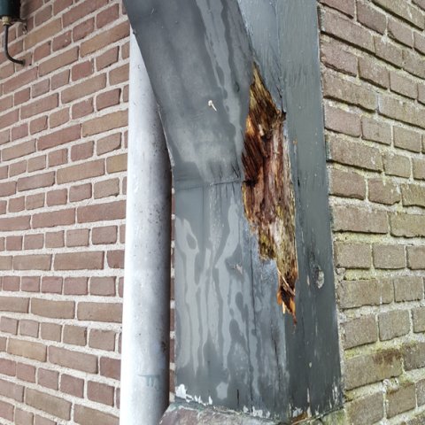 houtrot korbeel schade onderhoud