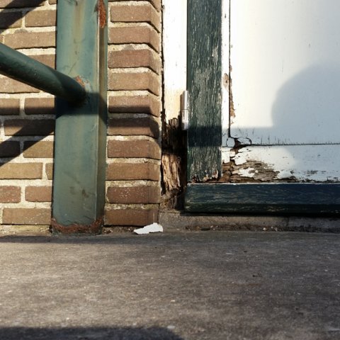 houtrot kozijn deur schade onderhoud