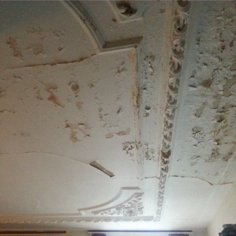 schimmel schade stucwerk plafond