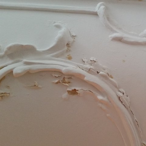 zout schade lekkage ornament plafond stucwerk
